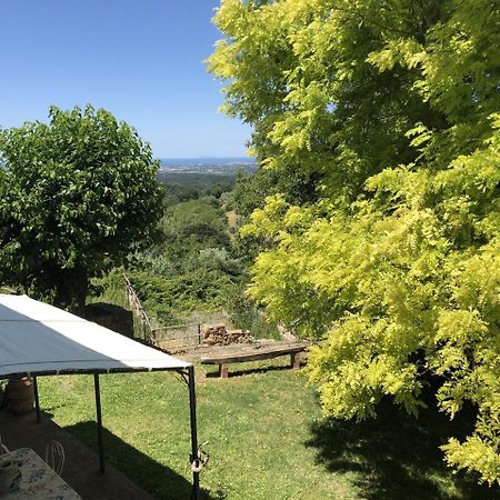 Haus Malerin - Meerblick, Umzaeunter Garten By Toscanatour Guardistallo Dış mekan fotoğraf