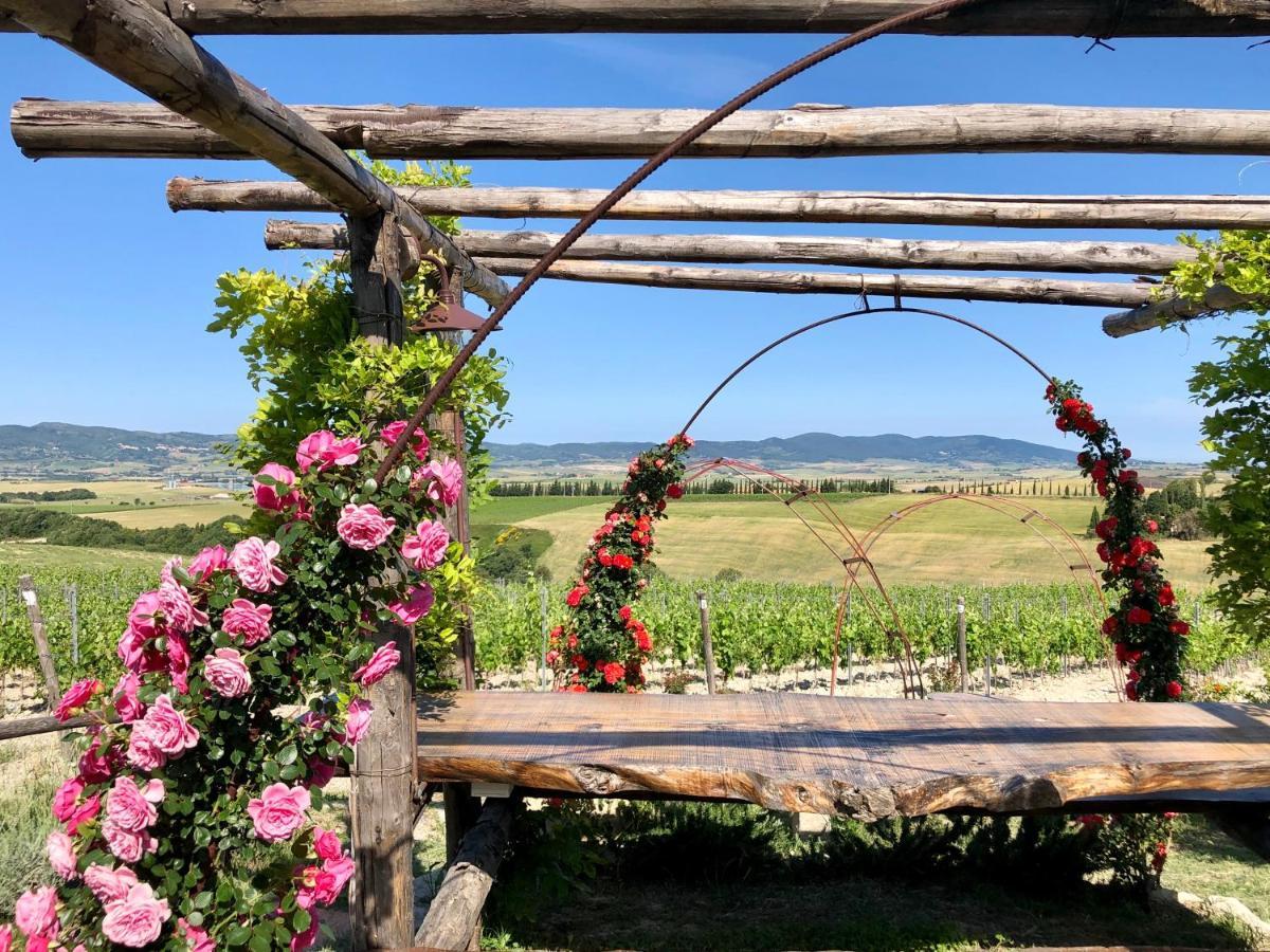 Haus Malerin - Meerblick, Umzaeunter Garten By Toscanatour Guardistallo Dış mekan fotoğraf