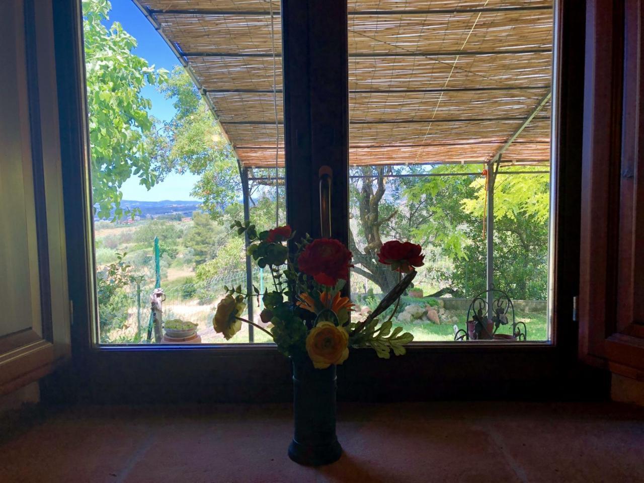 Haus Malerin - Meerblick, Umzaeunter Garten By Toscanatour Guardistallo Dış mekan fotoğraf