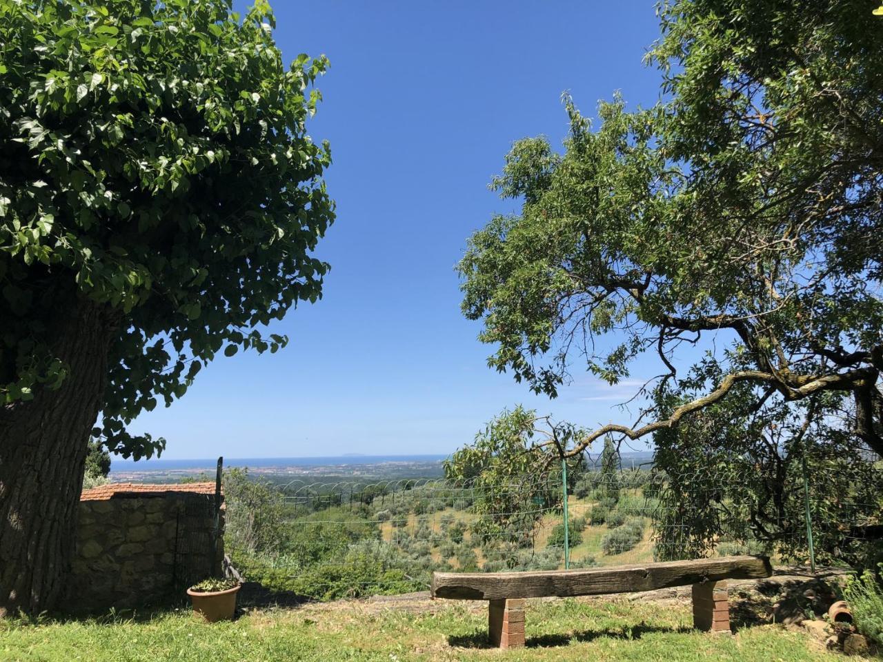 Haus Malerin - Meerblick, Umzaeunter Garten By Toscanatour Guardistallo Dış mekan fotoğraf