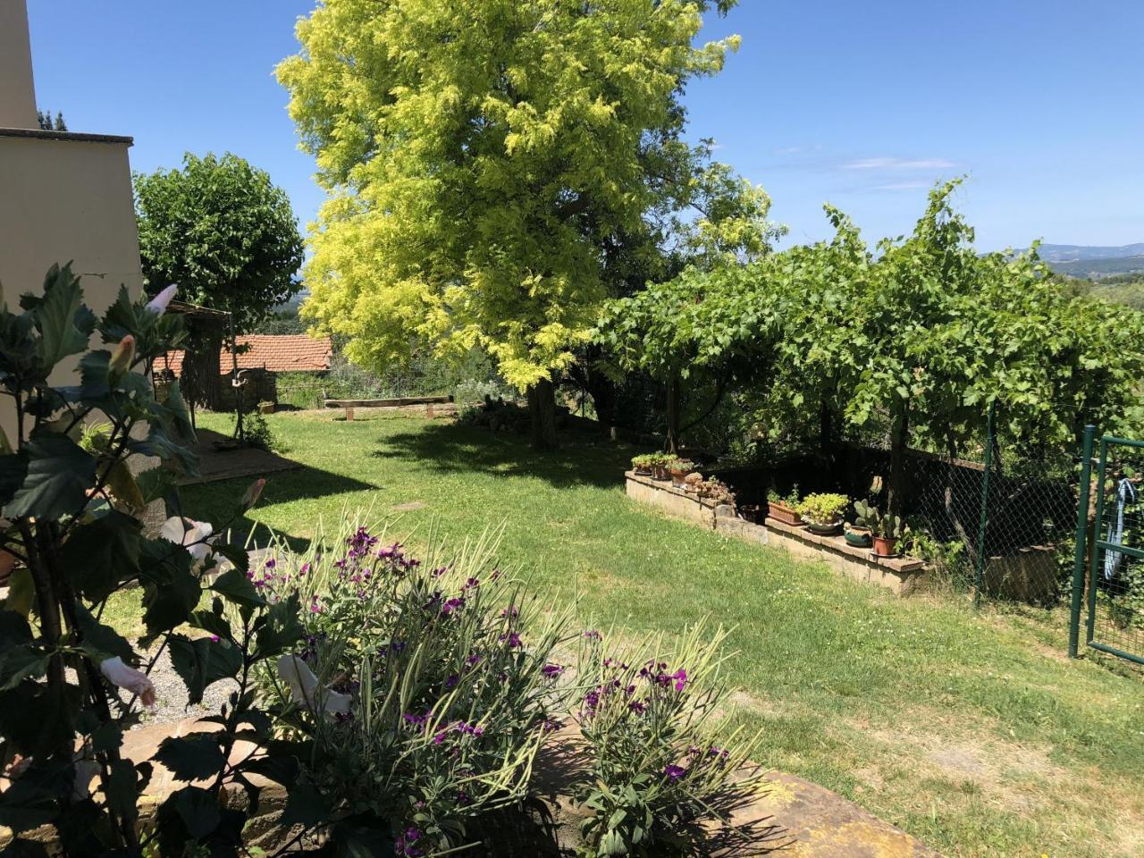 Haus Malerin - Meerblick, Umzaeunter Garten By Toscanatour Guardistallo Dış mekan fotoğraf