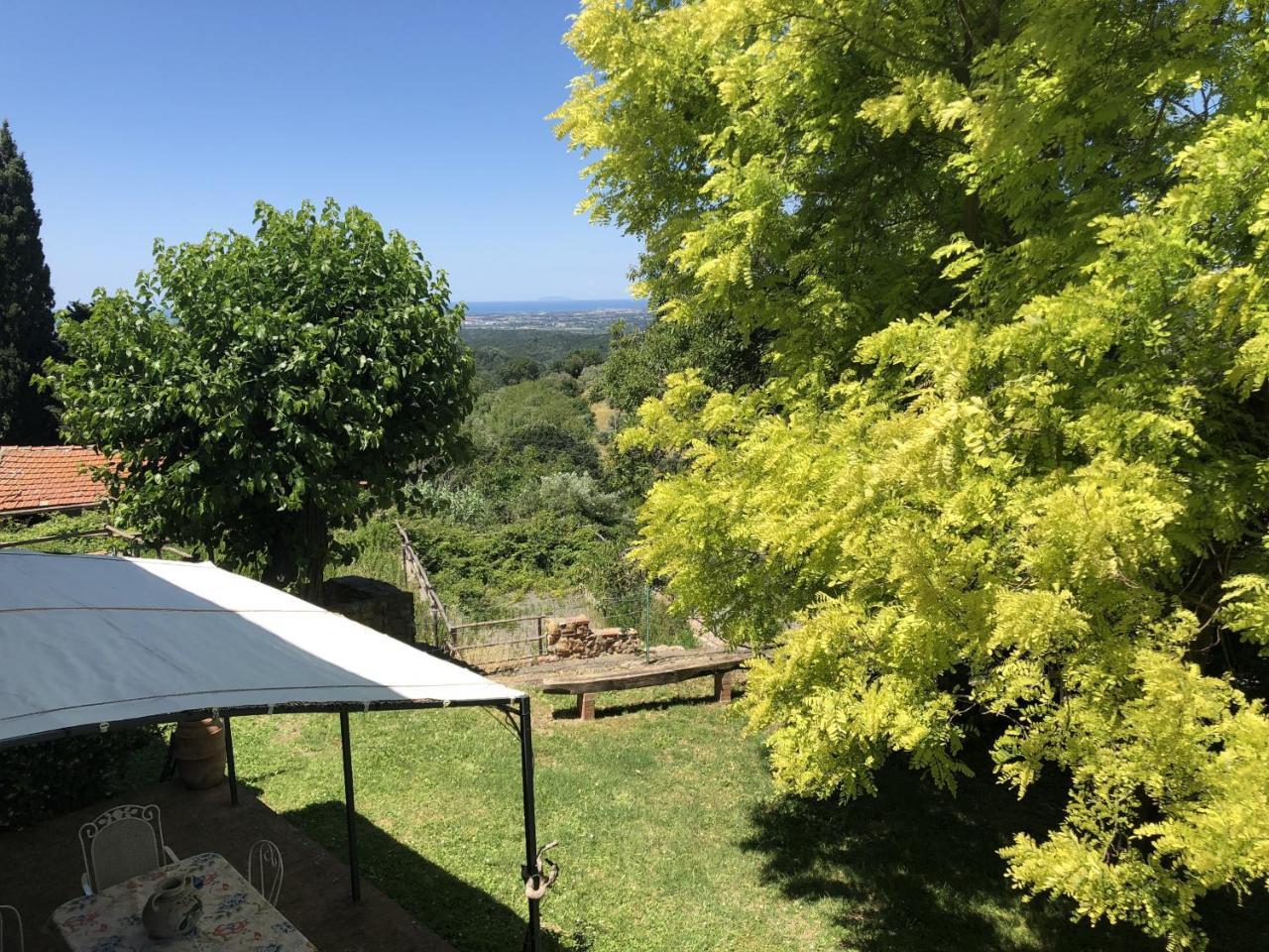 Haus Malerin - Meerblick, Umzaeunter Garten By Toscanatour Guardistallo Dış mekan fotoğraf