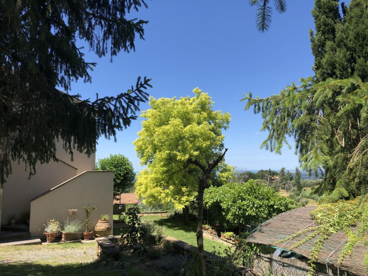 Haus Malerin - Meerblick, Umzaeunter Garten By Toscanatour Guardistallo Dış mekan fotoğraf